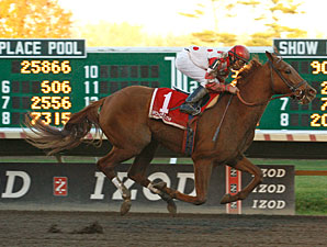 Loving Dove wins the 2010 Jersey Juv Colt.