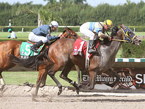 Lucas Brady wins the 2009 Birdonthewire.