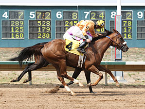 Lucci's Prize wins the 2013 CTBA Breeders Oaks.