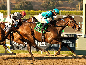 Lucky Primo wins the 2012 Lava Man California Cup Classic.