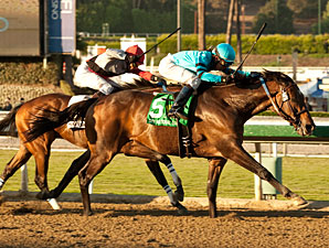 Lucky Primo wins the 2012 Lava Man California Cup Classic.