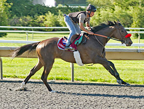 Lumberyard Jack - Arlington Park, August 17, 2012.
