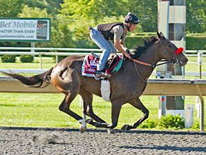 Lumberyard Jack - Arlington Park, August 17, 2012.