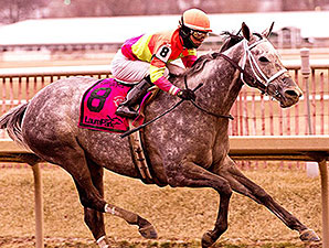 Lunar Surge wins the 2015 Maryland Racing Media Stakes.