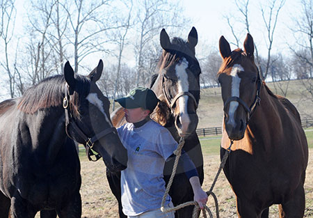 Zenyatta and Friends