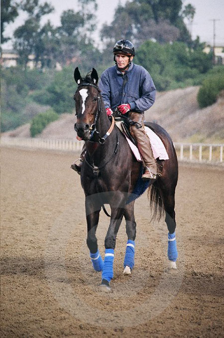 Morning at the track.