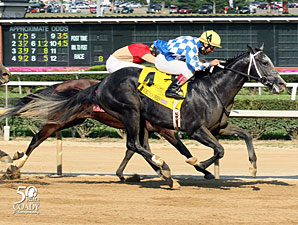 Macho Macho wins the 2012 West Virginia Derby.