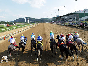Macho Macho wins the 2012 West Virginia Derby.