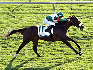 Madame Giry wins the 2012 Buffalo Trace Franklin County.