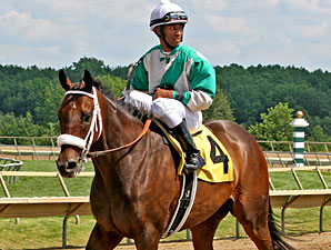 Madrilena wins the 2013 Power by Far Handicap.