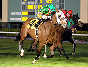 Magna Breeze wins the 2015 Jersey Village Turf Stakes.