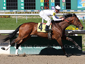 Majestic Harbor Maiden Win 02/12/11