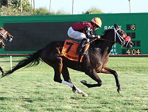 Major Magic wins the 2012 Jack Coady, Sr. Stakes.