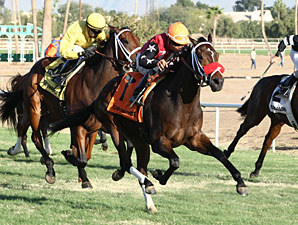Major Magic wins the 2012 Jack Coady, Sr. Stakes.
