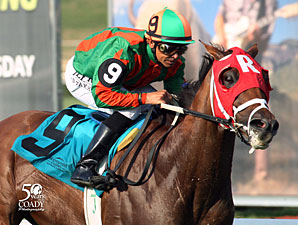 Major Marvel wins the 20112 West Virginia House of Delegates Speaker's Cup.