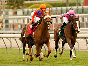 Malibu Pier wins the 2011 Santa Ana.