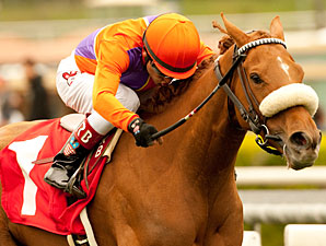 Malibu Pier wins the 2011 Santa Ana.