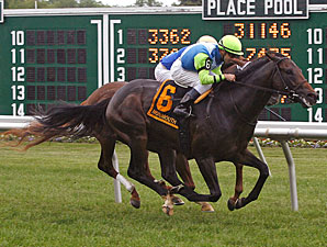 Malibu Way wins the 2012 Lamplighter Stakes.