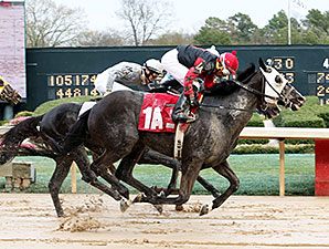 Mallard's Bro wins the 2014 Arkansas Breeders' Stakes.