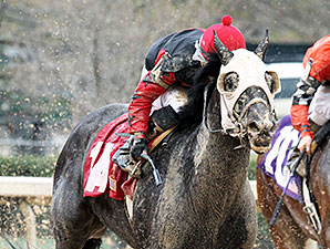 Mallard's Bro wins the 2014 Arkansas Breeders' Stakes.