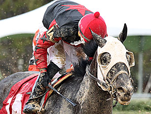 Mallard's Bro wins the 2014 Arkansas Breeders' Stakes.