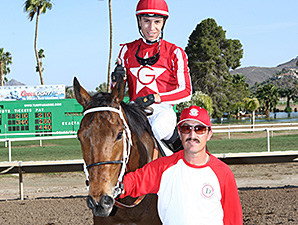 Mambo Man wins the Hasta La Vista Handicap.