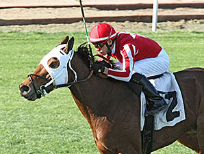 Mambo Man wins the 2014 Wildcat Handicap.