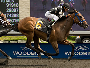 Man Stuff wins the 2012 Sweet Briar. 