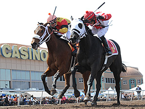 Mancation wins the New Mexico Breeders' Derby.