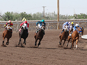 Mancation wins the New Mexico Breeders' Derby.