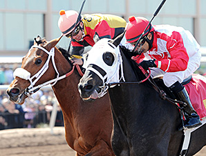 Mancation wins the New Mexico Breeders' Derby.