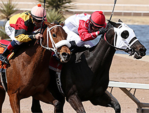 Mancation wins the New Mexico Breeders' Derby.