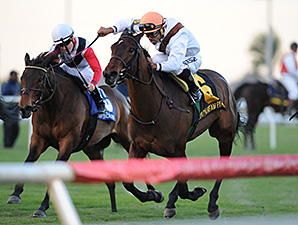 Marbre Rose wins the 2014 South Beach Stakes.