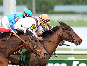 Marbre Rose wins the 2014 South Beach Stakes.