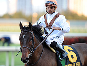 Marbre Rose wins the 2014 South Beach Stakes.