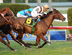 Marbre Rose wins the 2014 South Beach Stakes.