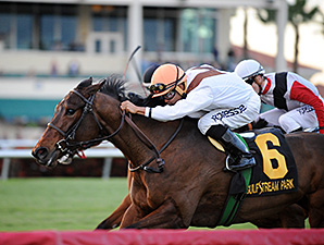 Marbre Rose wins the 2014 South Beach Stakes.