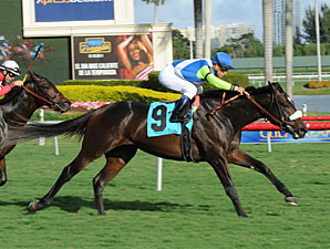 Margano, Maiden Win, December 10, 2011.