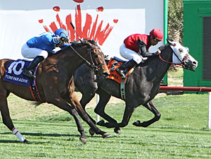 Mark wins the 2013 Tempe Handicap.