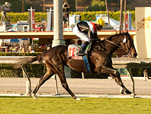 Marketing Mix wins the 2012 Rodeo Drive.