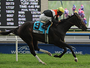 Marketing Mix wins the Wonder Where Stakes.
