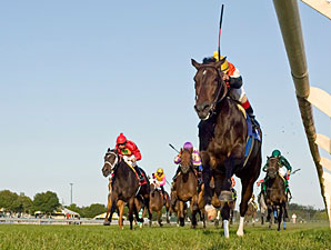 Marketing Mix wins the 2011 Pucker Up.