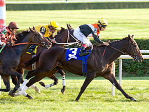 Marketing Mix wins the 2011 Pucker Up.