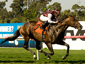Marlang wins the 2010 Sunset.