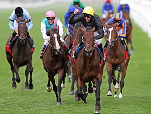 Masked Marvel wins the 2011 St. Leger.