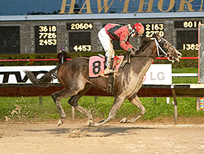 Mavericking wins the 2013 Buck's Boy Handicap.