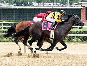 Maybe So wins the 2012 Mountaineer Juvenile.