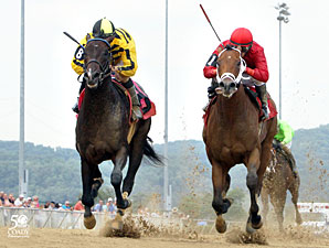 Maybe So wins the 2012 Mountaineer Juvenile.