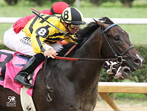 Maybe So wins the 2012 Mountaineer Juvenile.