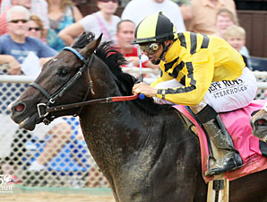 Maybe So wins the 2012 Mountaineer Juvenile.